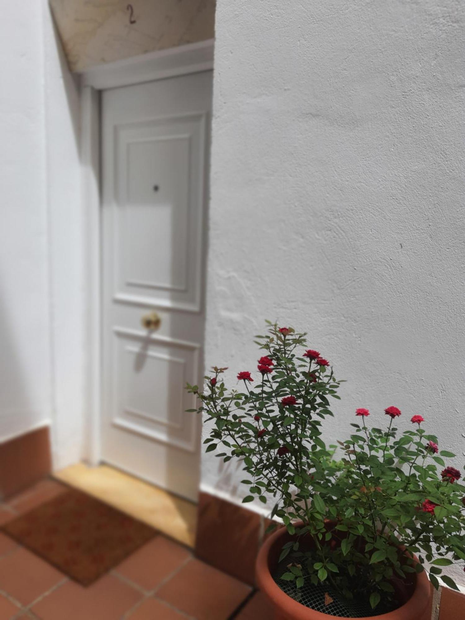 Centuria Macarena, apartamento dúplex Apartment Sevilla Bagian luar foto